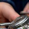 Watch being serviced by a technician